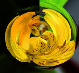 ABSTRACTc_2021-02-21-
