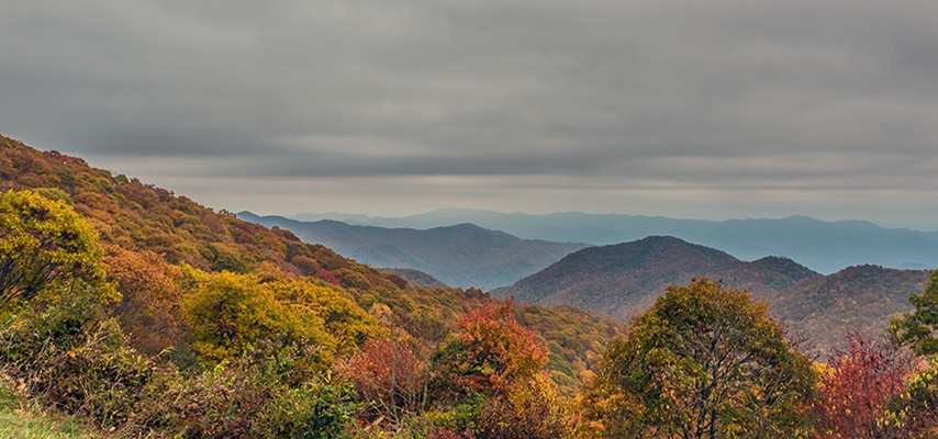 BR_PARKWAY_4365
