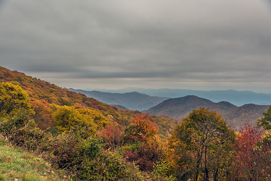 BR_PARKWAY_4365