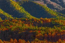 CADES_COVE_9744