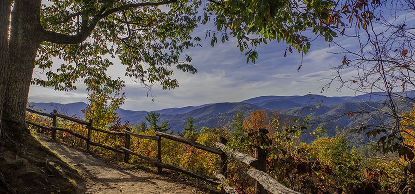 CATALOOCHEE_4318v