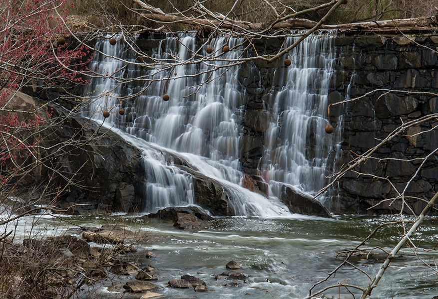 OAKDALE_6324