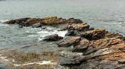 SEASCAPE_5433-gigapixel-width-2800px